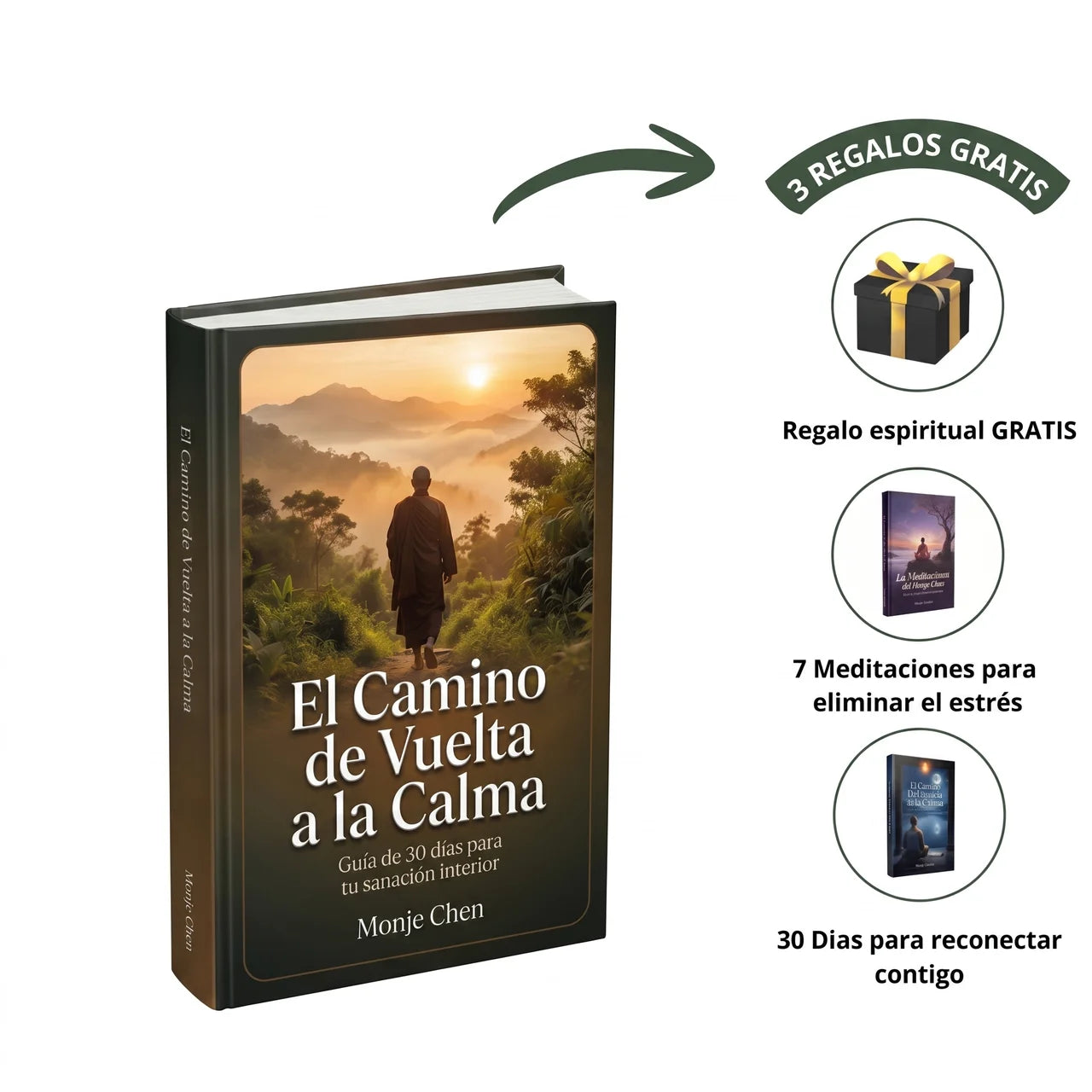 El Camino de Vuelta a la Calma